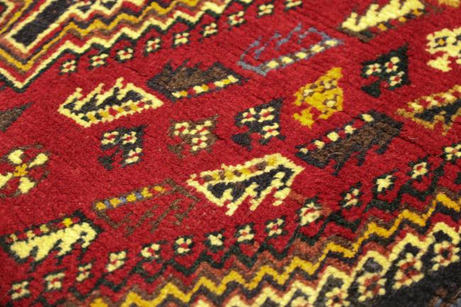 Shiraz - 7