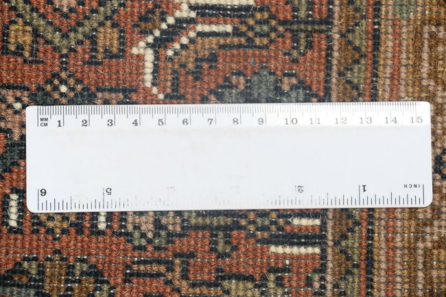 Indo Bidjar - 7