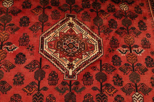 Shiraz - 4