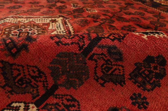 Shiraz - 8