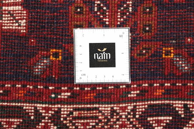 Shiraz - 11