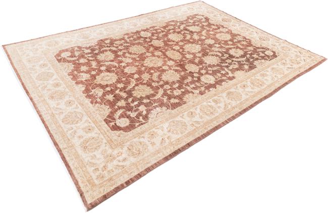 Ziegler Farahan - 2