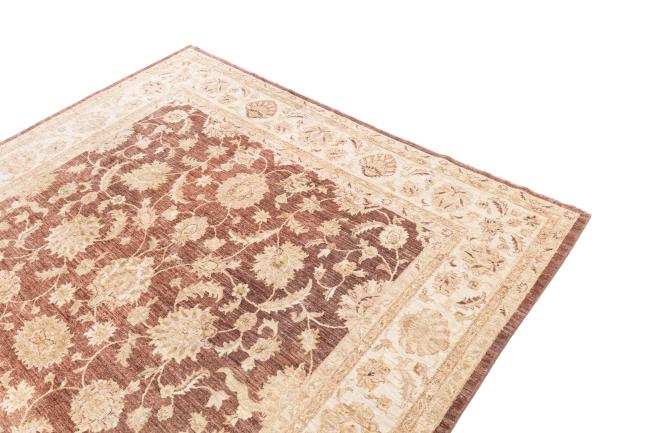 Ziegler Farahan - 3