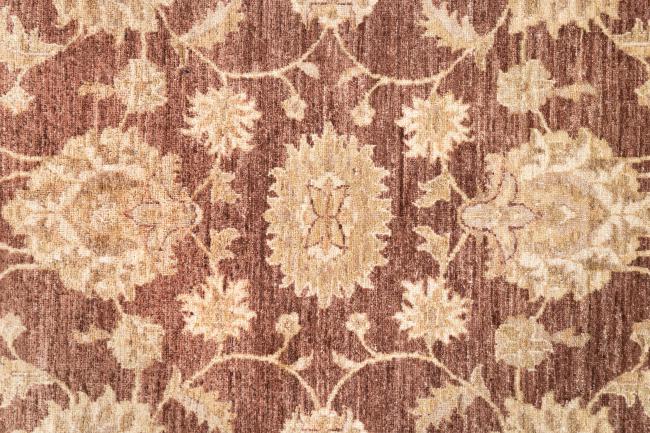 Ziegler Farahan - 7