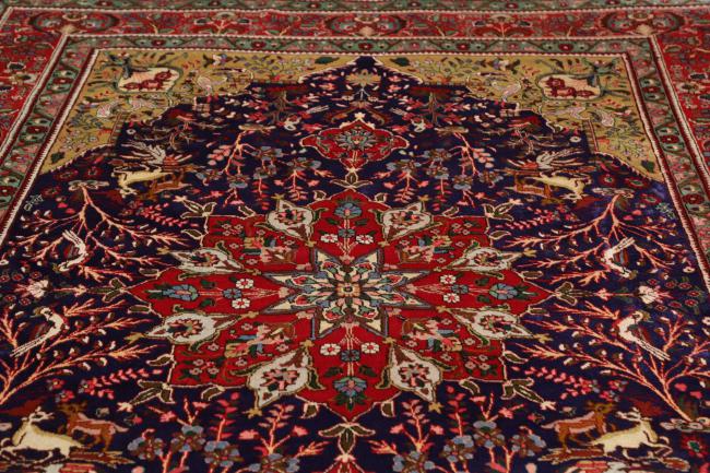 Tabriz - 7