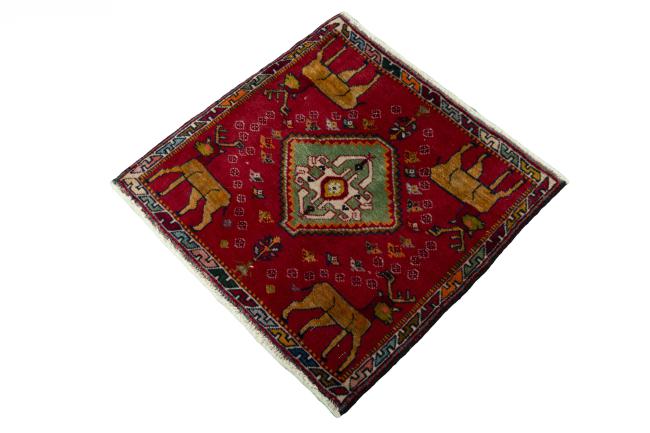 Shiraz - 1