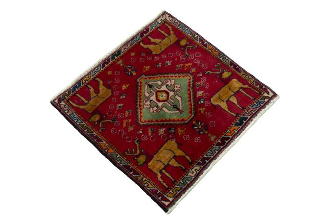 Shiraz - 2