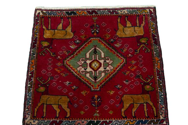 Shiraz - 3