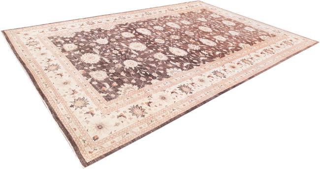 Ziegler Farahan - 1