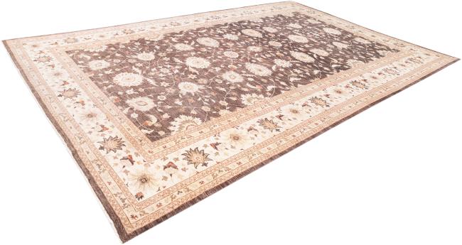 Ziegler Farahan - 2