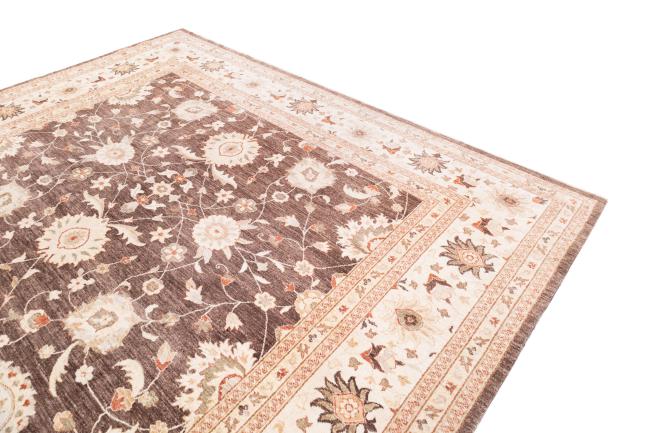 Ziegler Farahan - 3