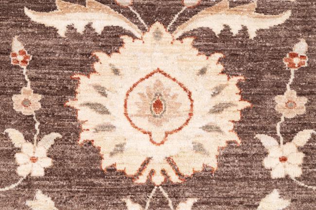 Ziegler Farahan - 7