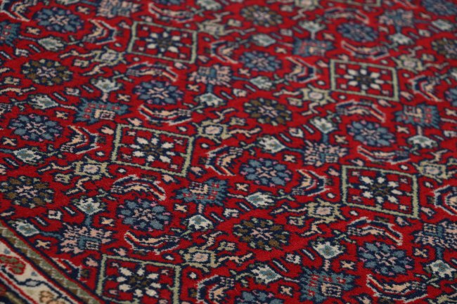 Indo Bidjar - 3