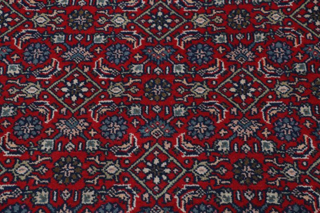 Indo Bidjar - 4