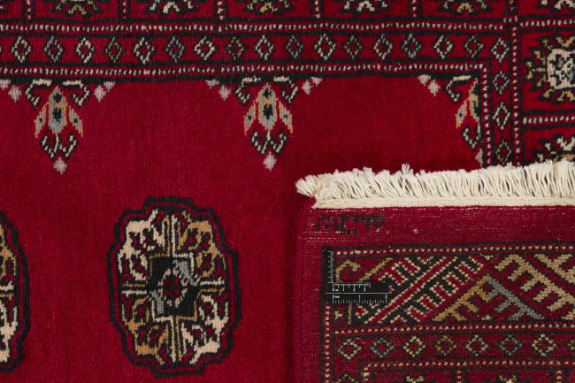 Pakistan Buchara 3ply - 1