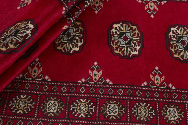 Pakistan Buchara 3ply - 2