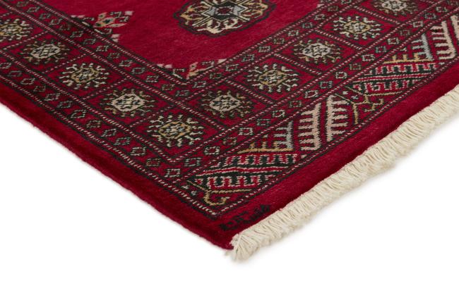 Pakistan Buchara 3ply - 3