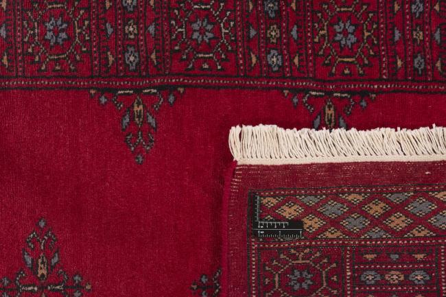 Pakistan Buchara 3ply - 1