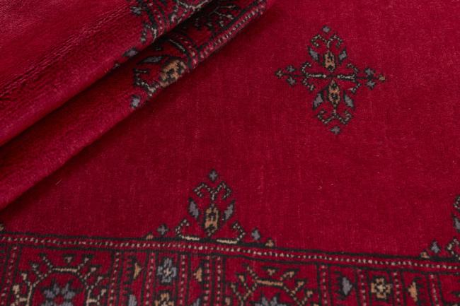 Pakistan Buchara 3ply - 2