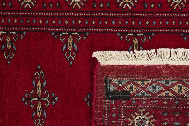 Paquistão Buchara 3ply - 1