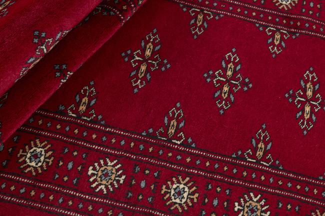 Paquistão Buchara 3ply - 2