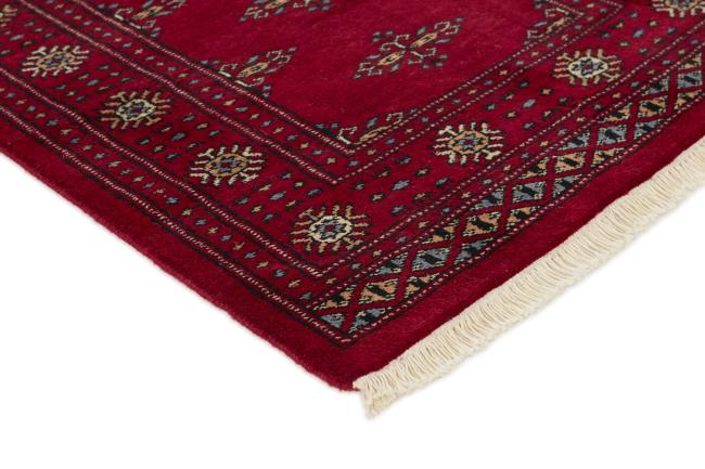 Paquistão Buchara 3ply - 3