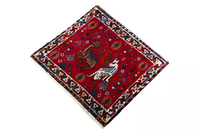 Shiraz - 1