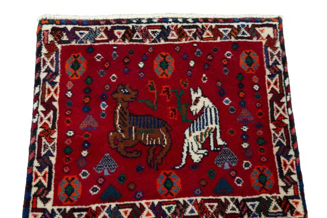 Shiraz - 3