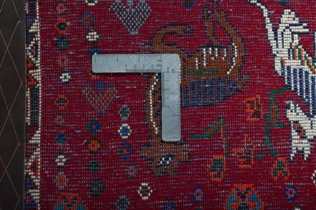 Shiraz - 4