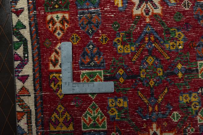 Shiraz - 4