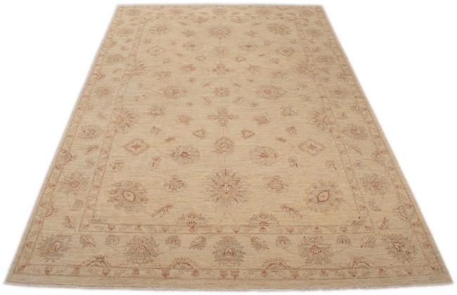 Ziegler Farahan - 3