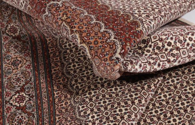 Tabriz Mahi Pirvasian - 10