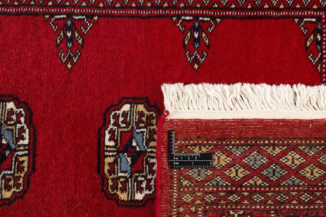 Pakistan Buchara 2ply - 1