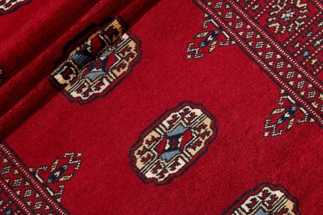 Pakistan Buchara 2ply - 2
