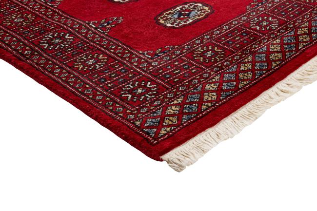 Pakistan Buchara 2ply - 3