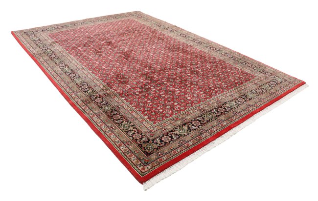 Indo Bidjar - 1
