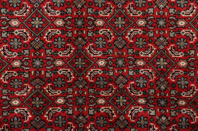 Indo Bidjar - 4