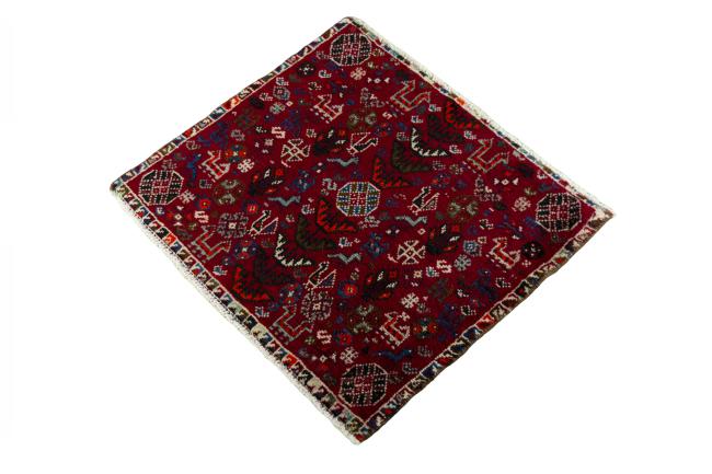 Shiraz - 1