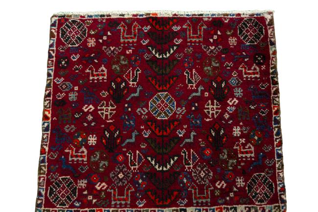 Shiraz - 3