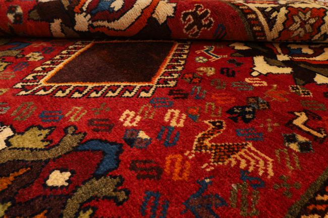 Shiraz - 8