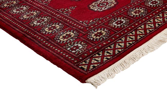Pakistan Buchara 2ply - 3