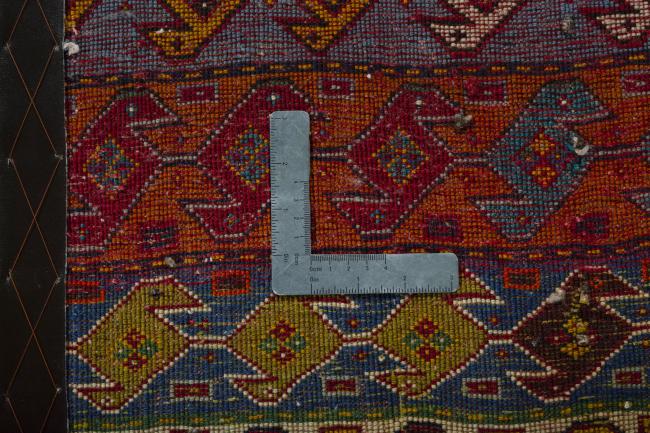 Shiraz - 4