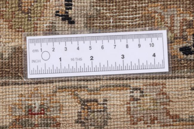 Ziegler Arijana - 10