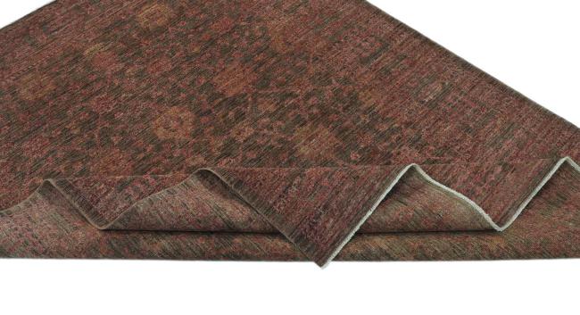 Ziegler Farahan - 5