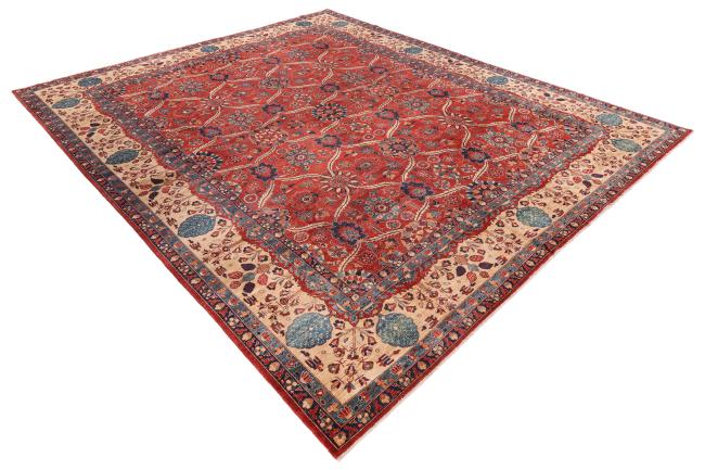 Ziegler Farahan - 1