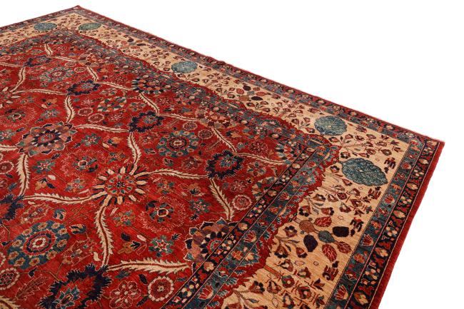Ziegler Farahan - 3