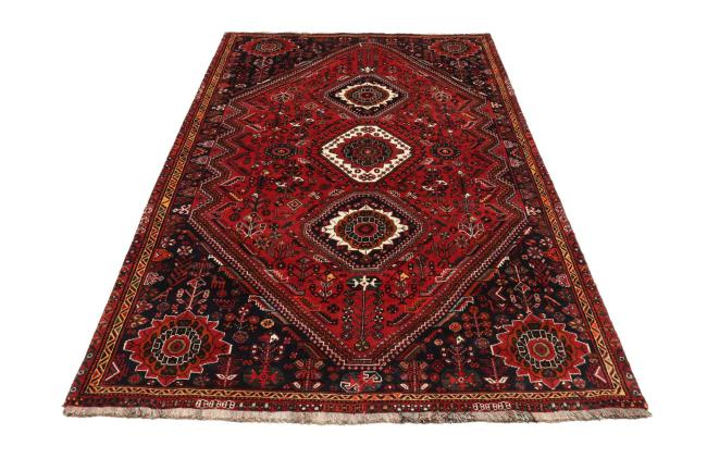 Shiraz - 5