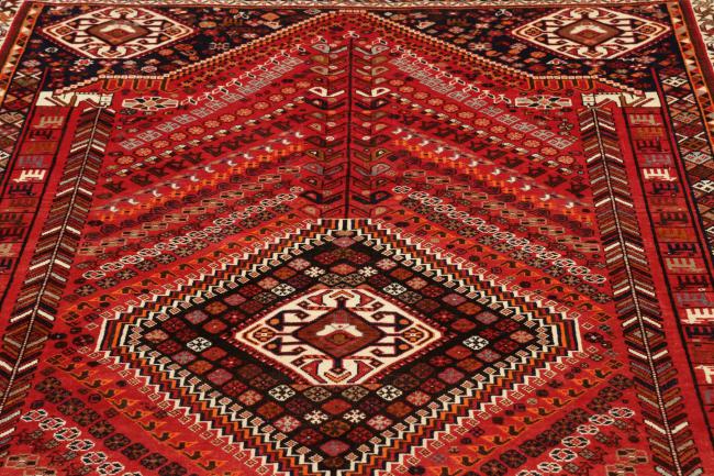 Shiraz - 9