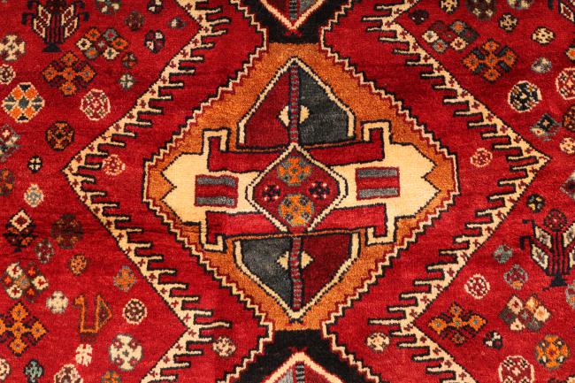 Shiraz - 4