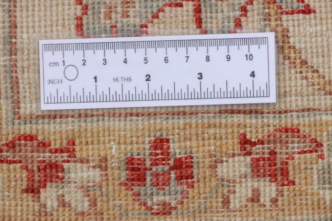 Arijana Bakhtiarii - 10